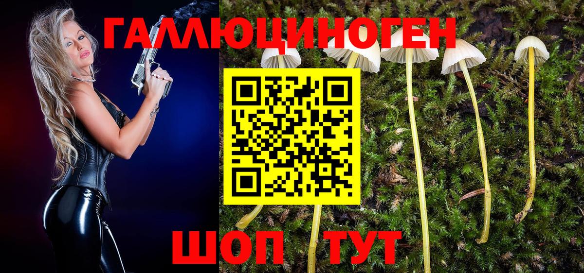 Галлюциногенные грибы Psilocybe Сызрань